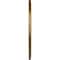 Ekena Millwork Anthony Ceiling Medallion (Fits Canopies up to 11 5/8"), 29 3/8"OD x 11 5/8"ID x 1 1/8"P, Pale Gold CM29ATPAS - alternate 3